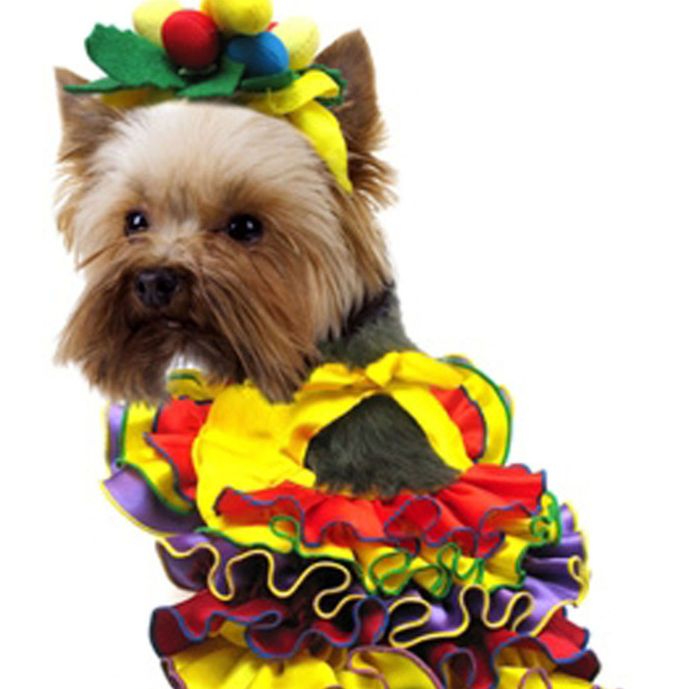 Carmen Halloween Costume For Dogs Size 4